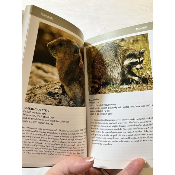 Falcon Pocket Guide Nature Guide to Yosemite National Park - Simpson - Paperback - Picture 4 of 4